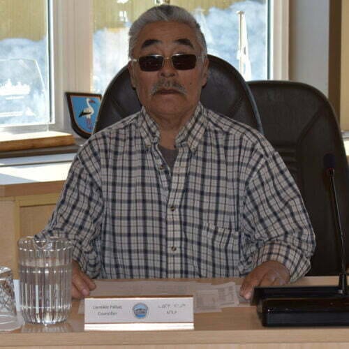 Councillor 2020
